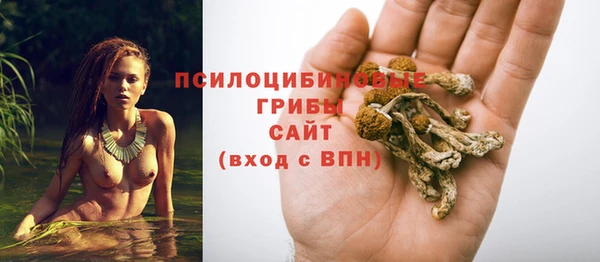 PSILOCYBIN Волосово