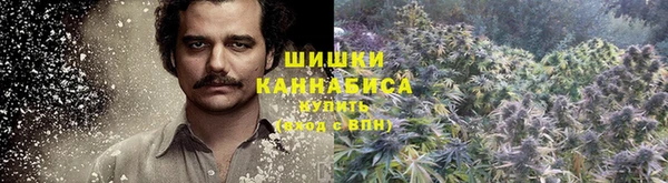 PSILOCYBIN Волосово