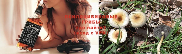 PSILOCYBIN Волосово