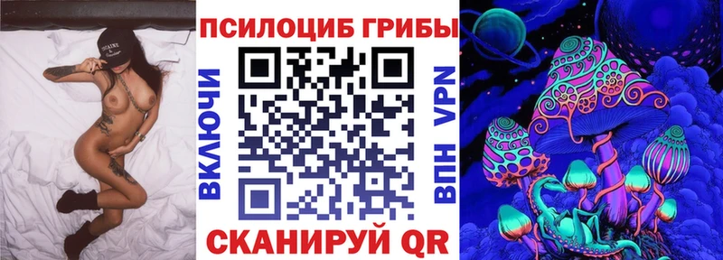 Галлюциногенные грибы Psilocybe  Голицыно 